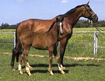 Rascalina