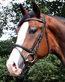 Rascatino