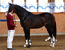 Rascatino