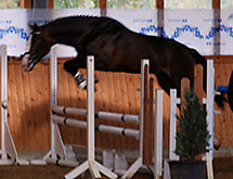 Rascatino